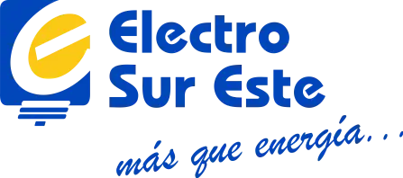 electro sur